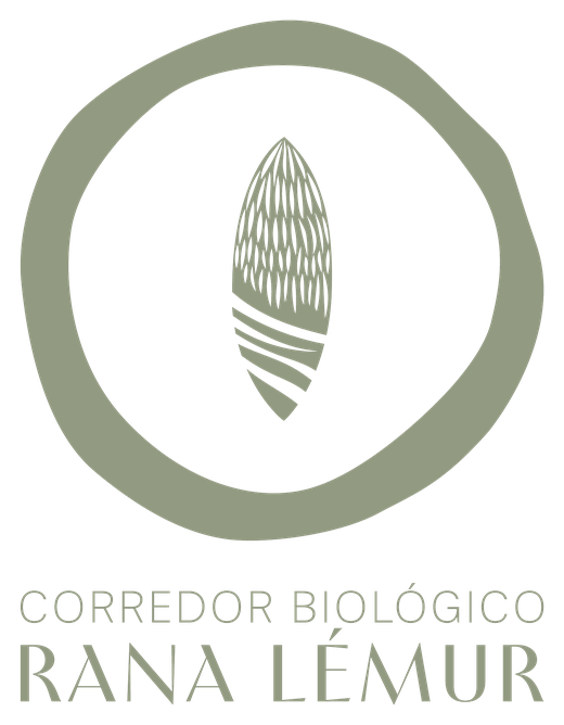 Logo del Corredor Biológico Rana Lémur
